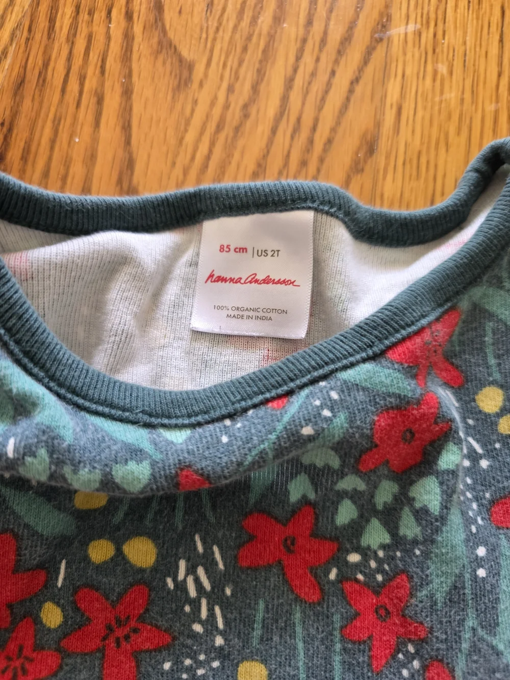Hanna Andersson Teal Knit Dress with Pink Floral Print